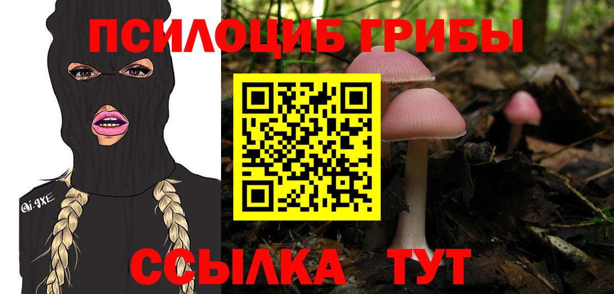 Псилоцибиновые грибы Magic Shrooms  Вход с VPN  Котовск 